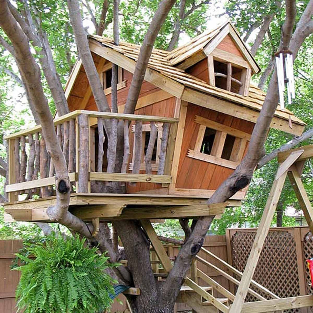 Livable Tree House Floor Plans Floor Roma - Livable Tree House Floor Plans